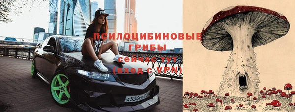 МДПВ Россошь